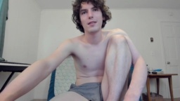 Wolfiekitty  19-12-2020
